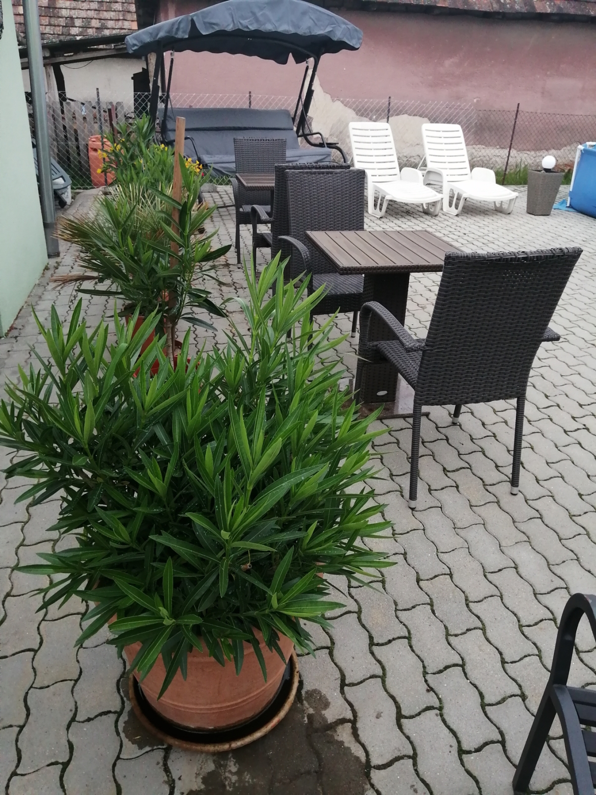 Kitchen facilities at Attila Vendégház Ap. 12 person in HU