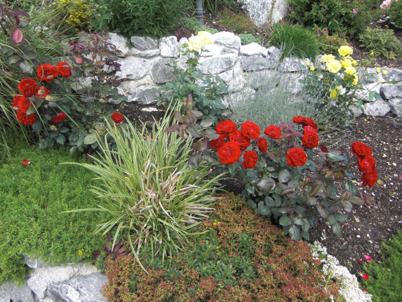 Ferienwohnung am Rosengarten