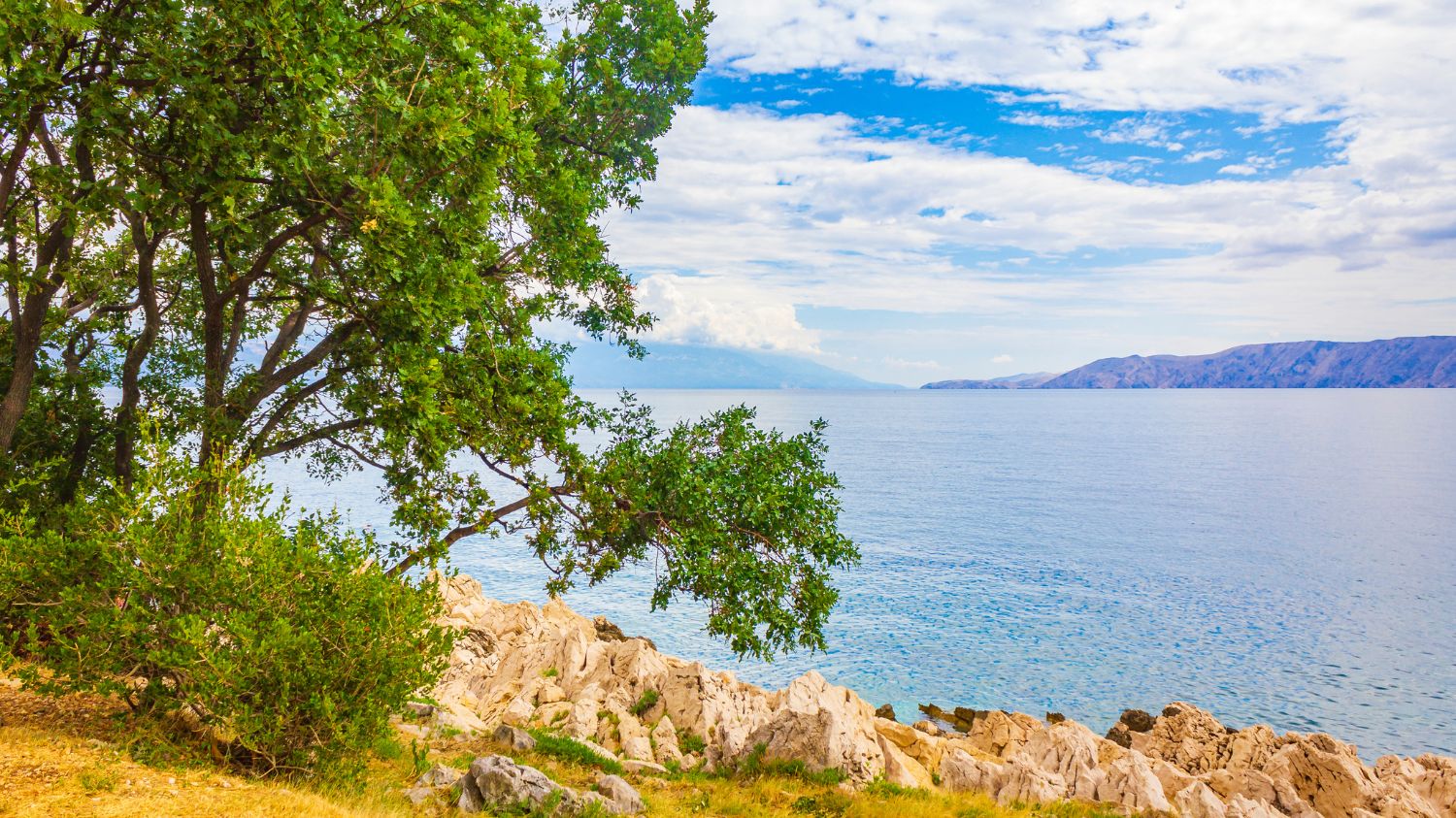 Klenovica Queen Premium 4+2