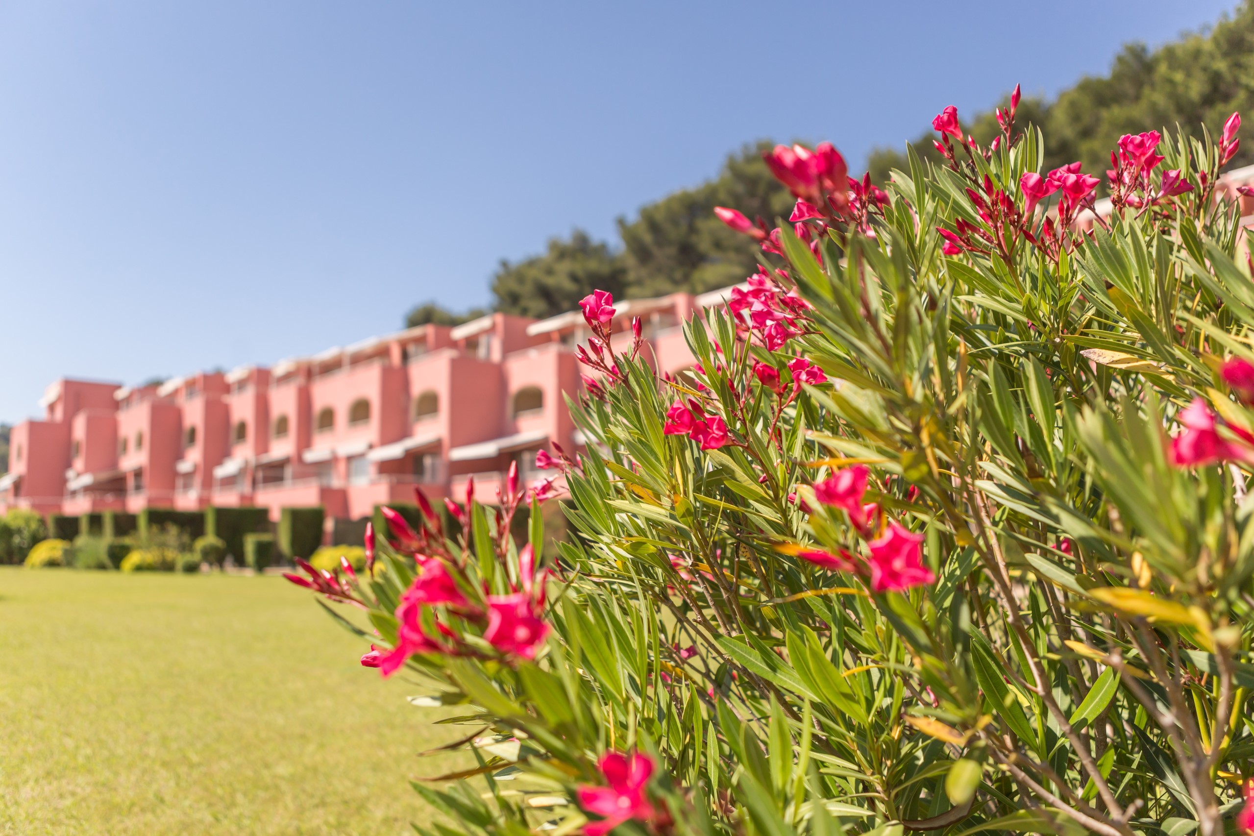 les-jardins-de-la-cote-dazur-s5p-sat