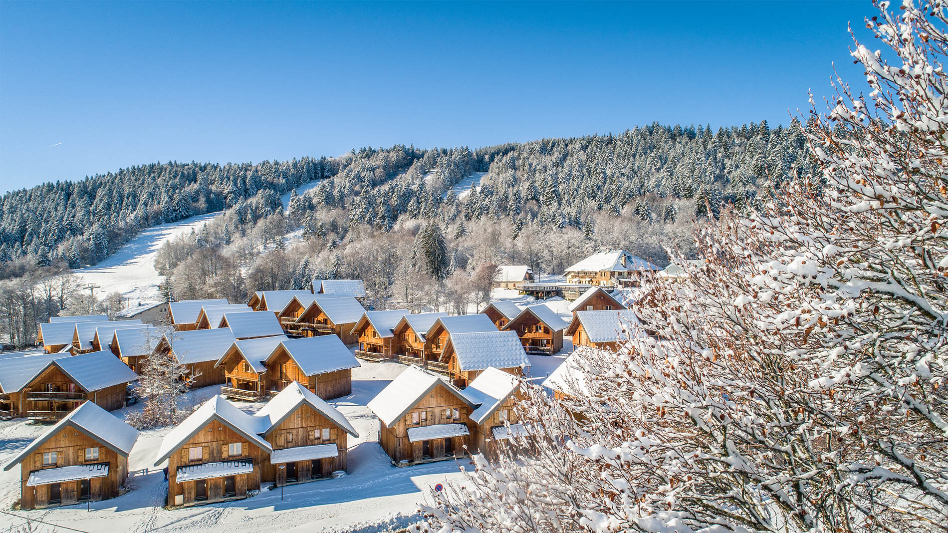 les-chalets-du-berger-premium-3p7p-pmr