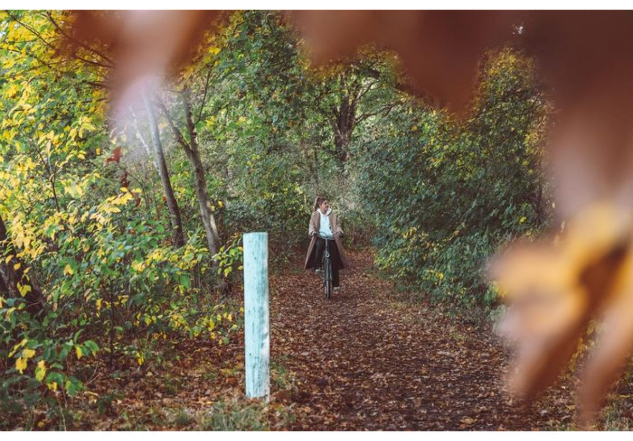 2 + 2-person Hotel room