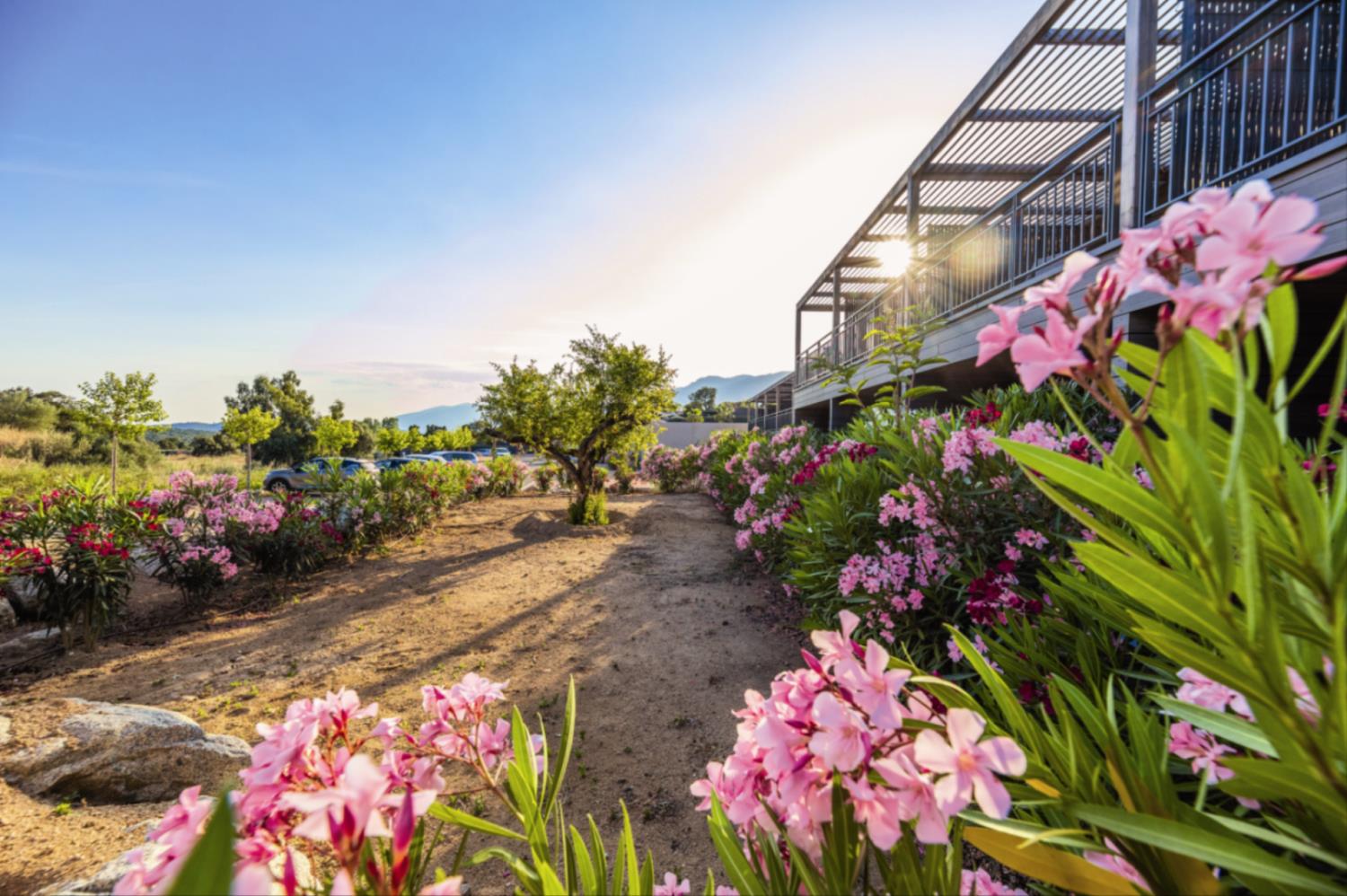 Les Terrasses d'Arsella 4p6p House