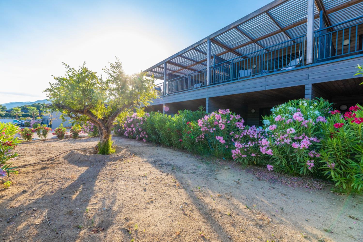 Les Terrasses d'Arsella 4p6p House