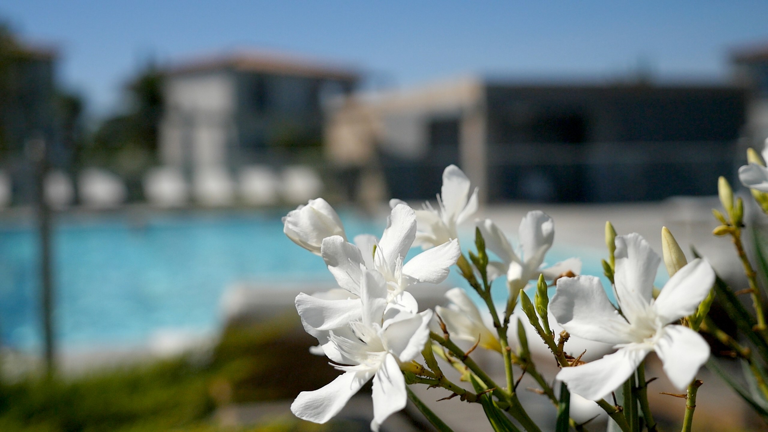 Les Villas de Porto-Vecchio 3p6p