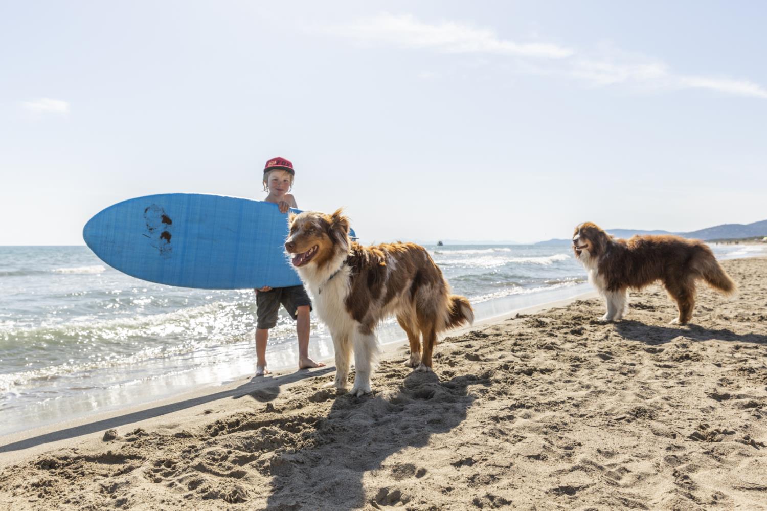 Comfort Lodge Principina