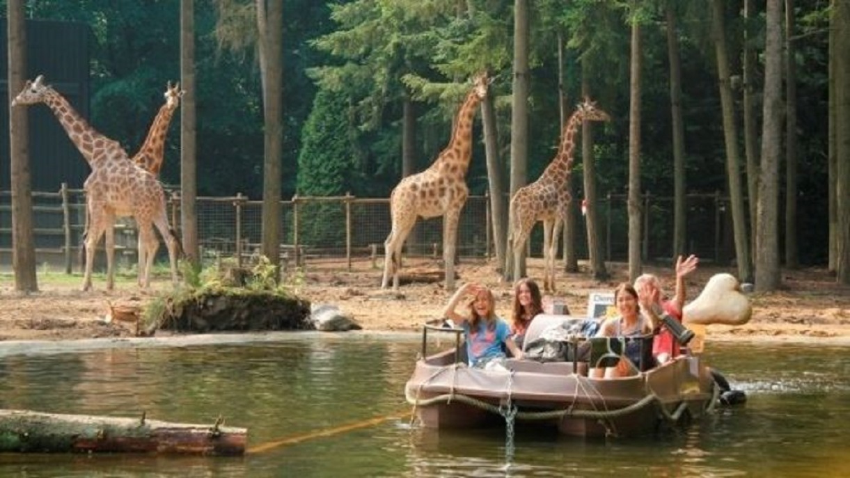 6 + 6 persoons Veluwe Villa met sauna en grillhuis — 5