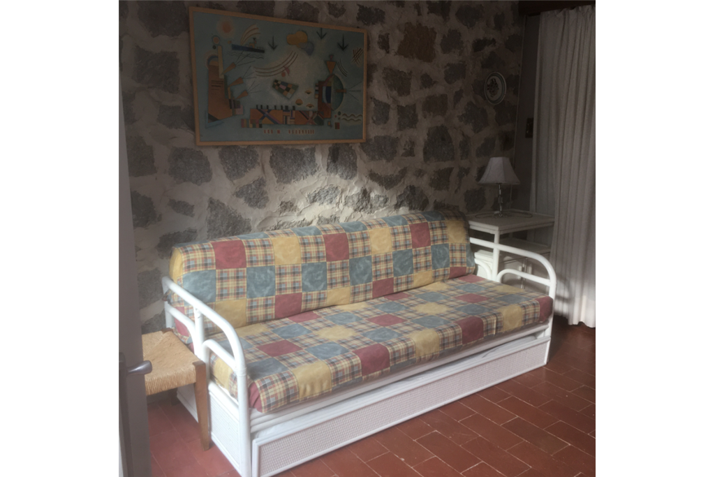 Pino Mono Top
