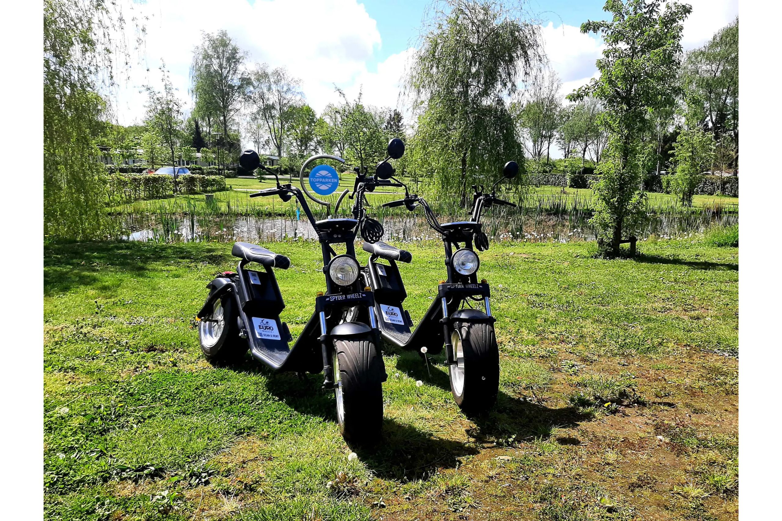 Module Special 6 people Wellness