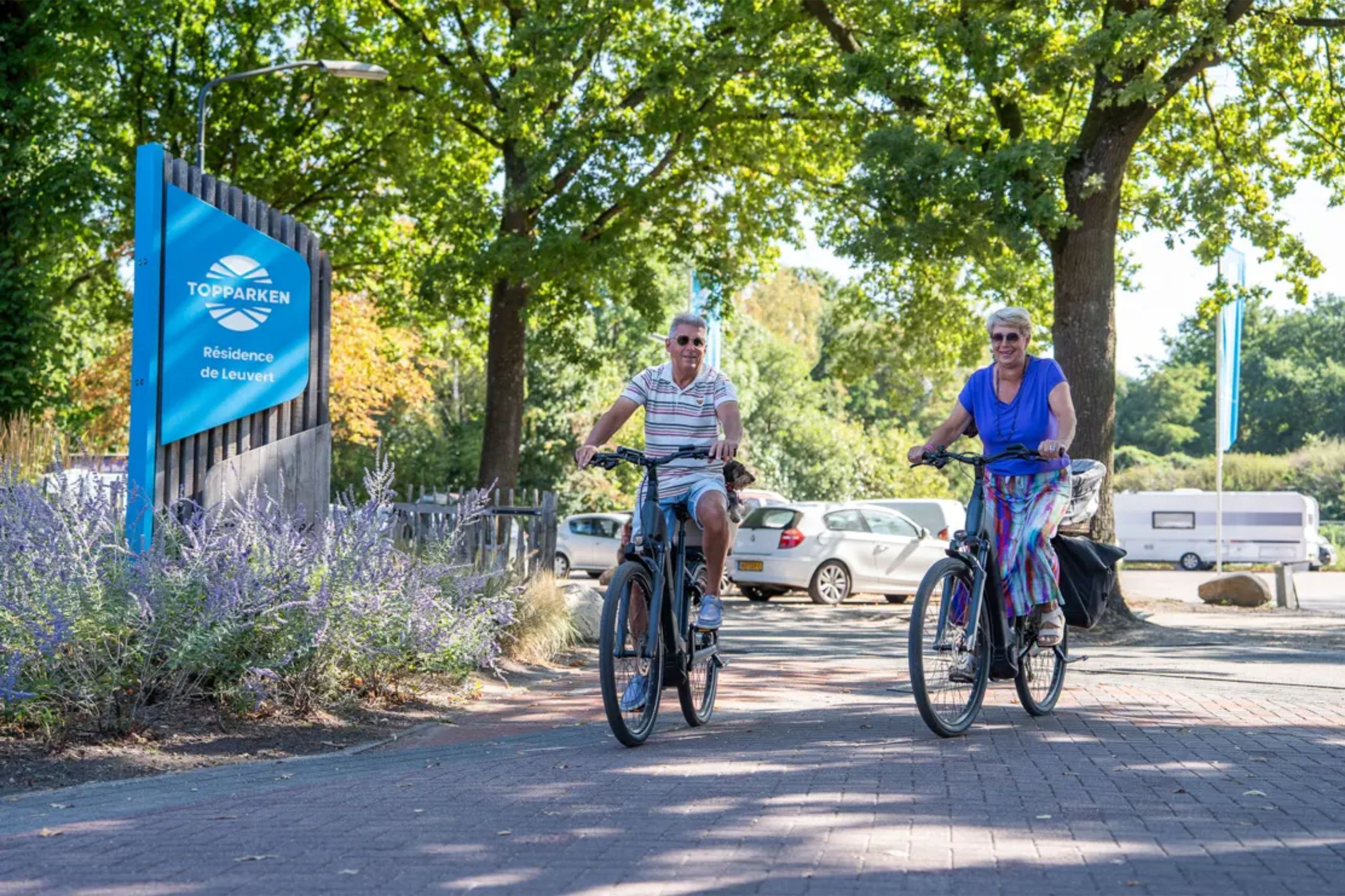 Module Special 6 people Wellness