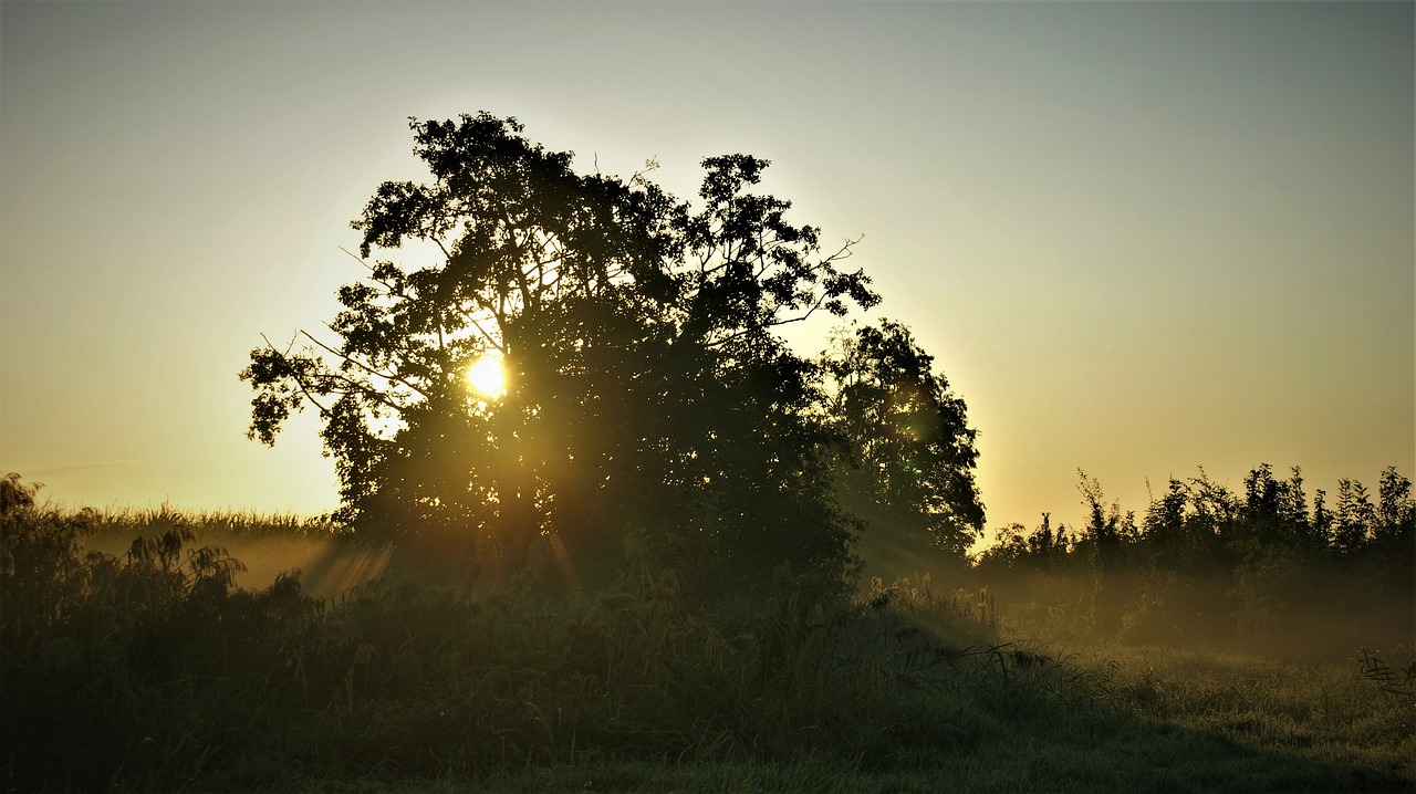 Idyllisch Natuurhuisje aan Duinrand