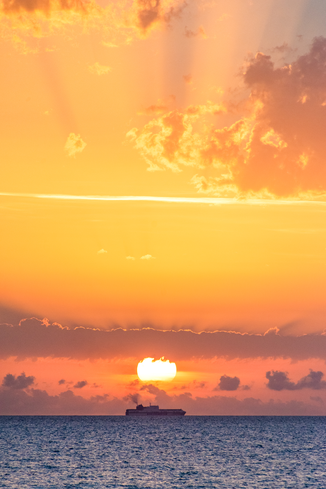 Villetta Large Morellino 4 pax