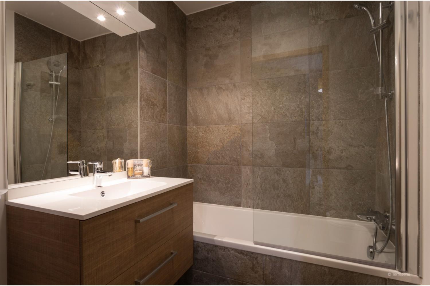 Le Diamant des Neiges TS3p8 Std A38S