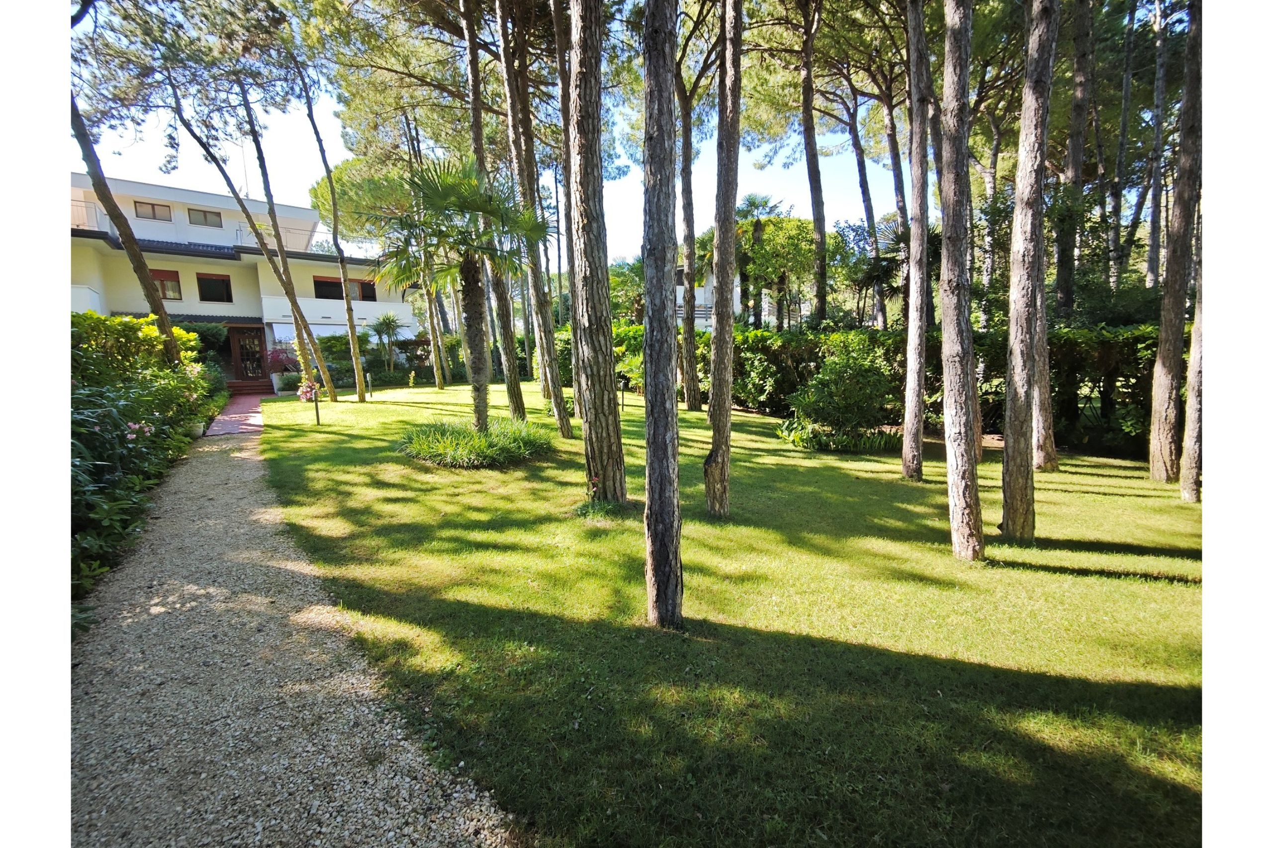 franca
