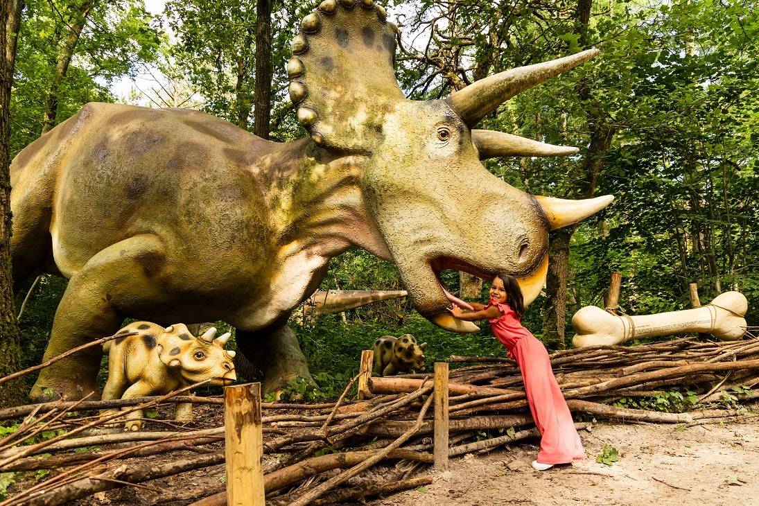 24 person Family lodge