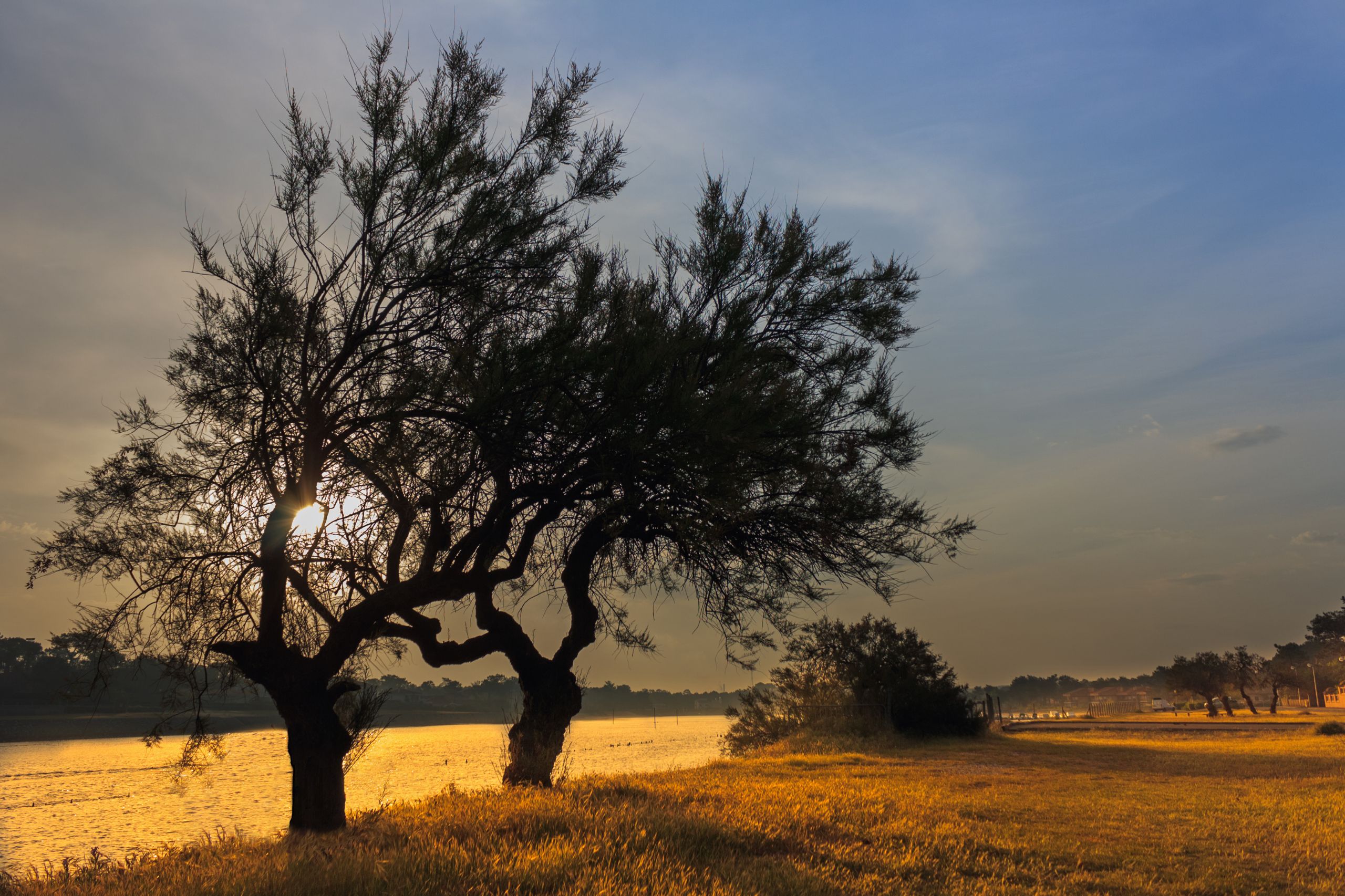 Résidence Bleu Canopée 4p8p