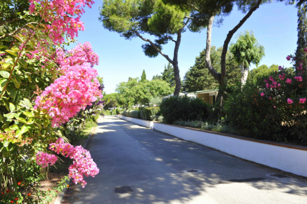 Italy Village *** Apartment Comfort Type b