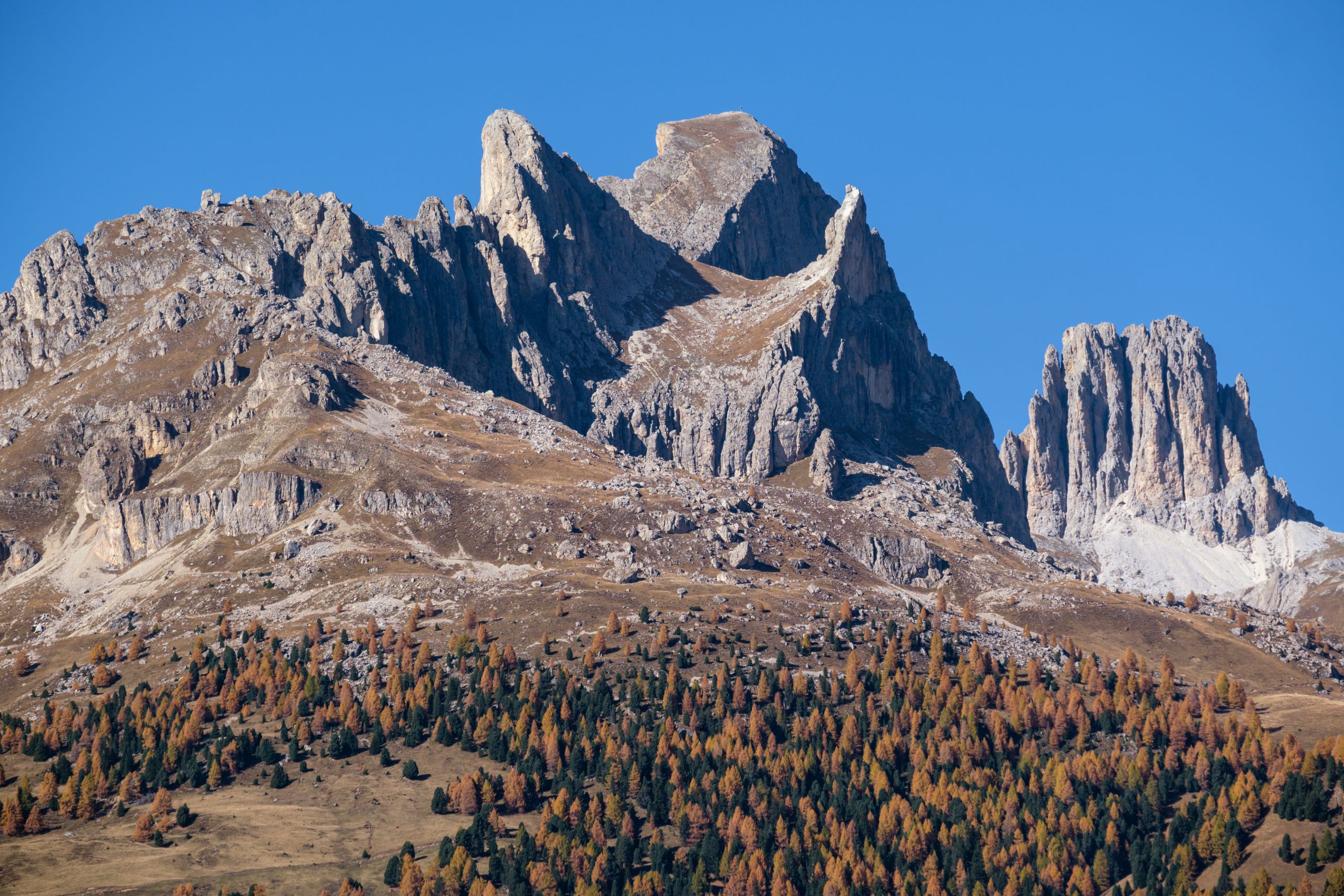 Adler Family & Wellness Clubresidence Bilocale 4 Letti - Solo Locazione