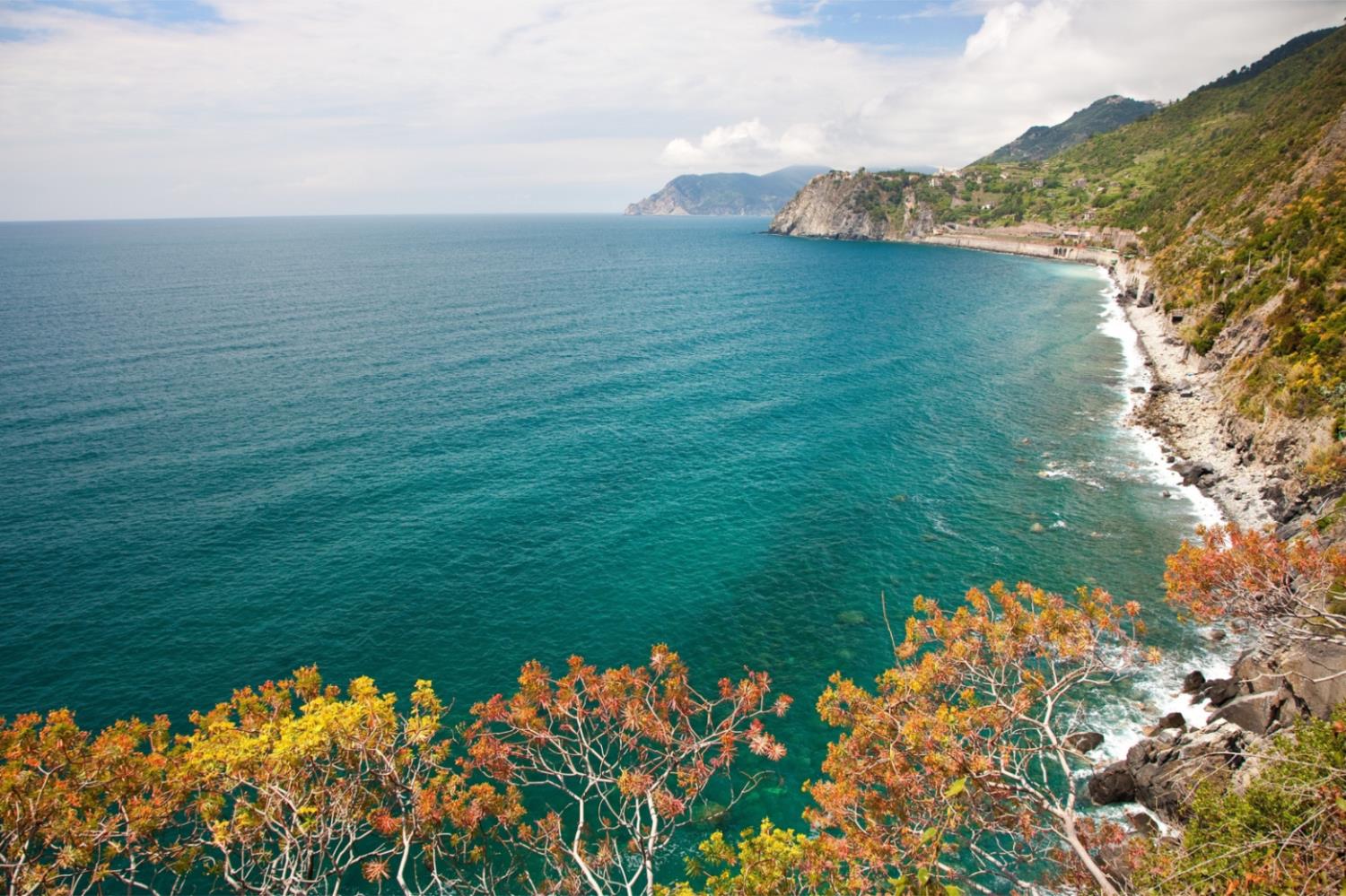 Lovely Flat in Monterosso — 3