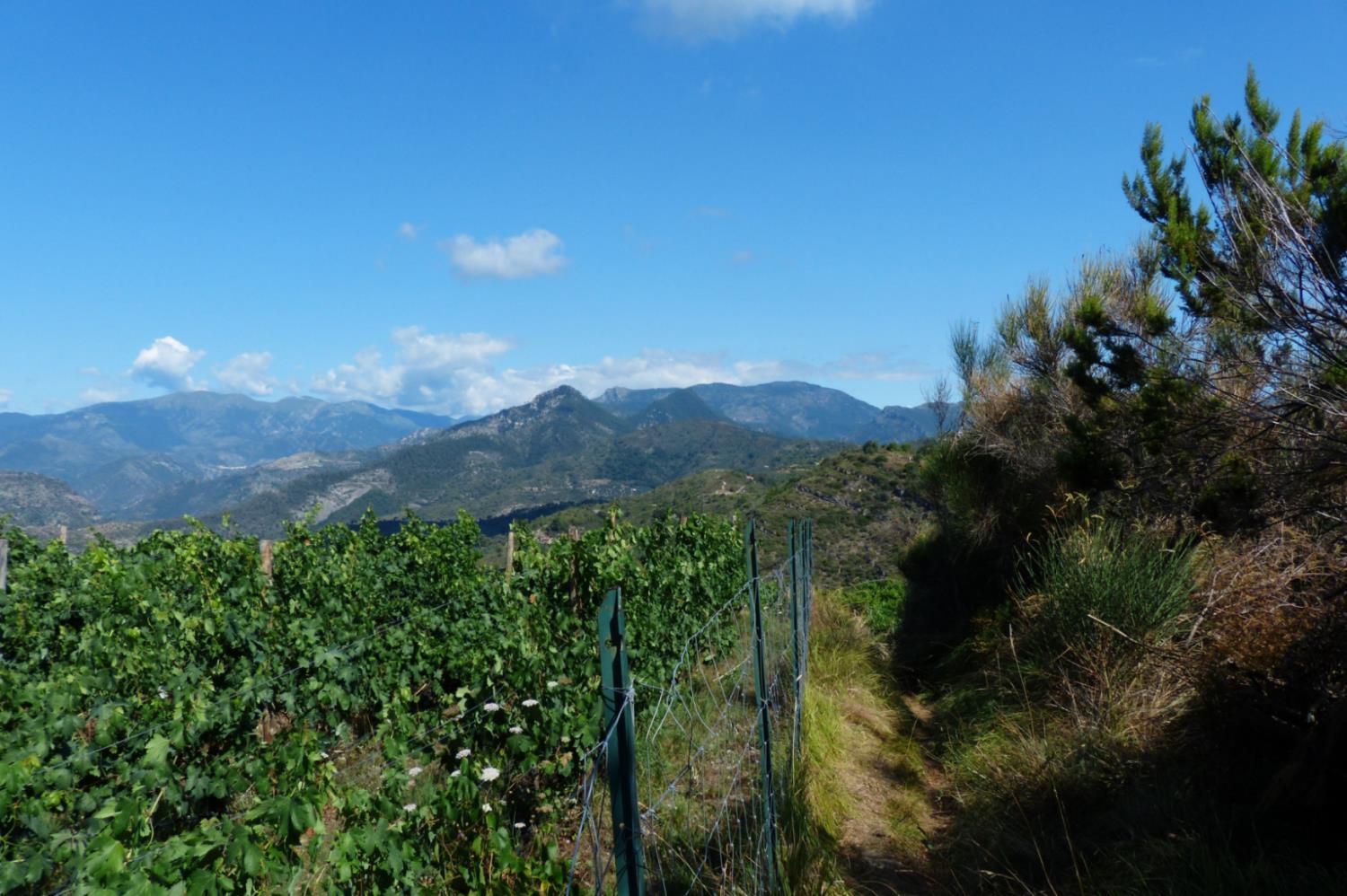 Lovely Flat in Monterosso — 4