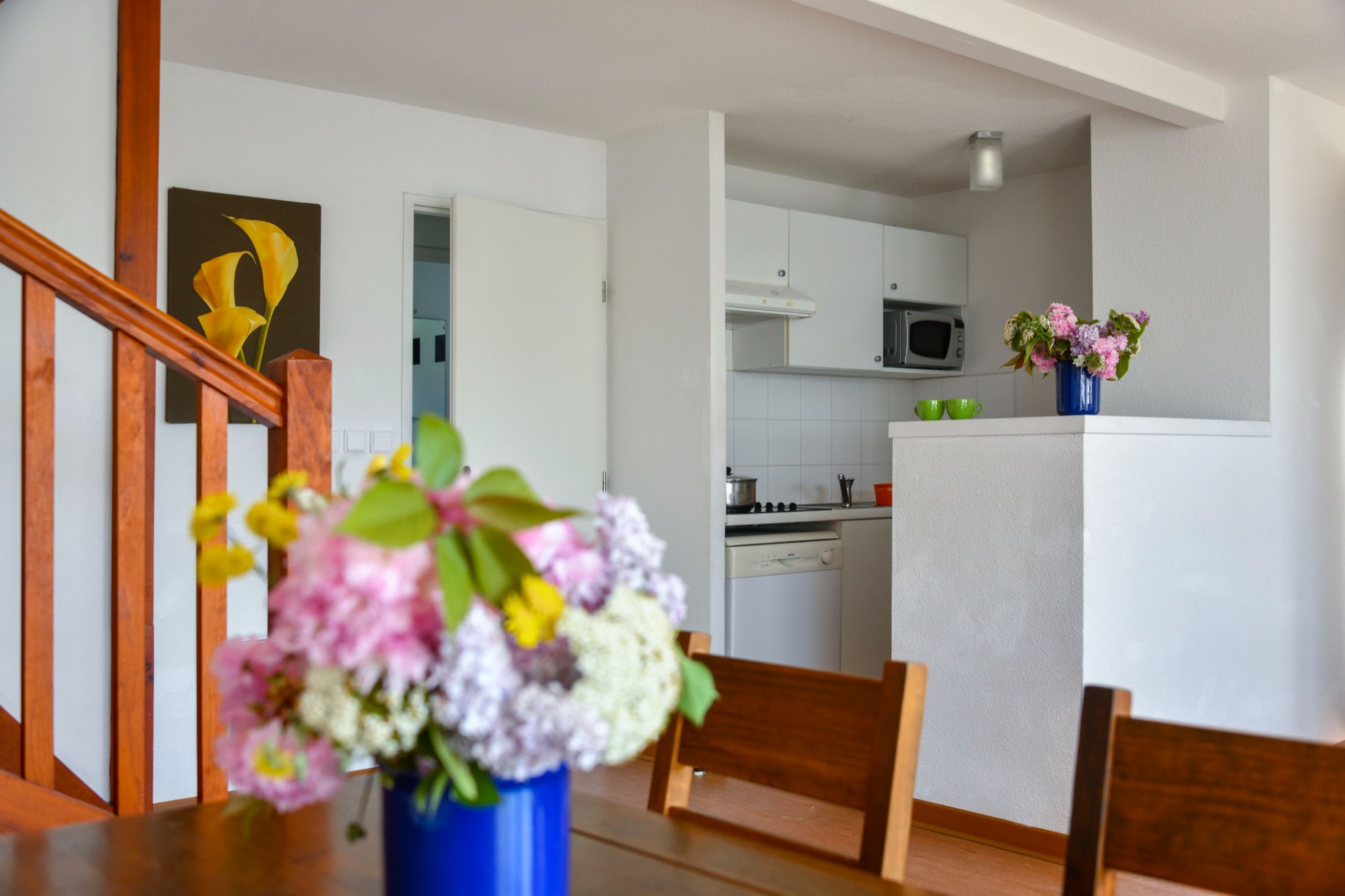 residence-le-domaine-de-saint-orens-3p8p