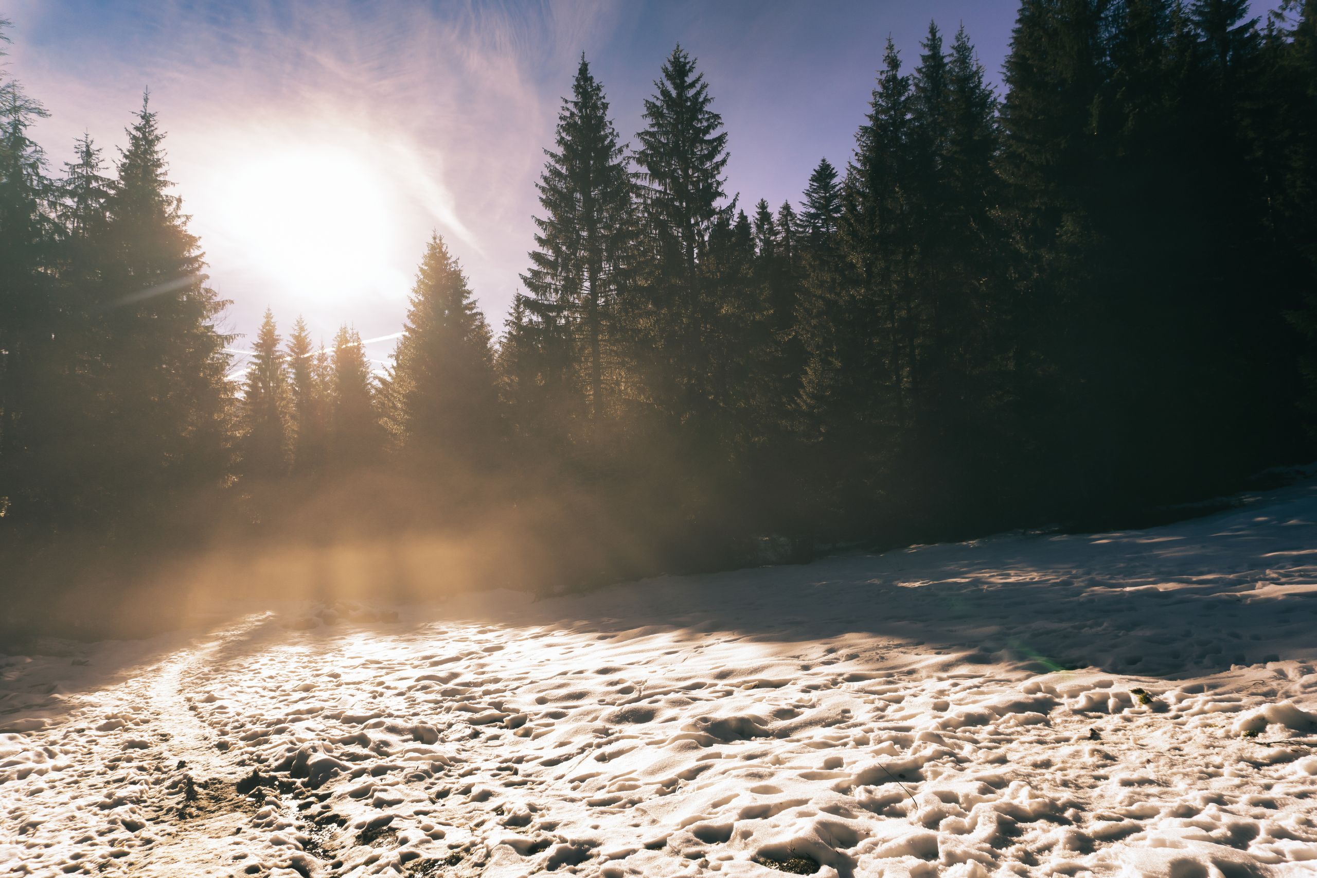 Residence Villa Linda One -room Apartment (4 Pax)