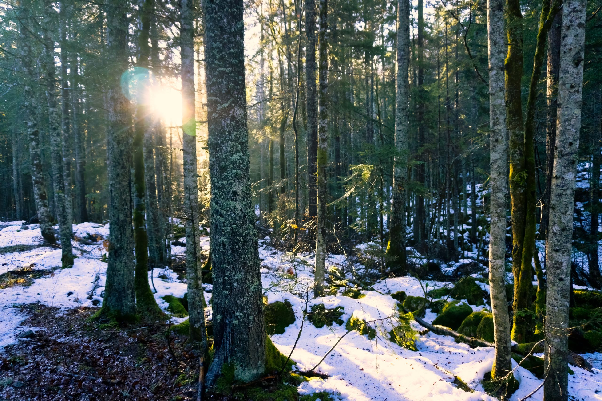 Residence Villa Linda Two-rooms Apartment (5 Pax)