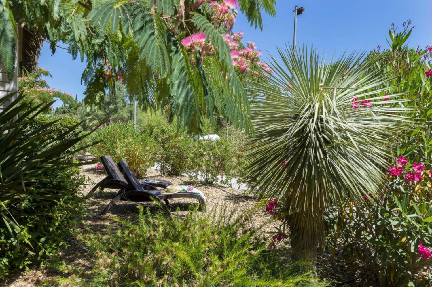 Swimming pool area near Cottage Tropical 6p 3Bdrms AirCon **** in France