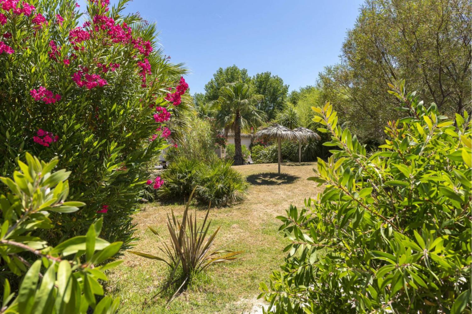 Outdoor terrace and garden at Cottage Tropical 6p 3Bdrms AirCon **** in France