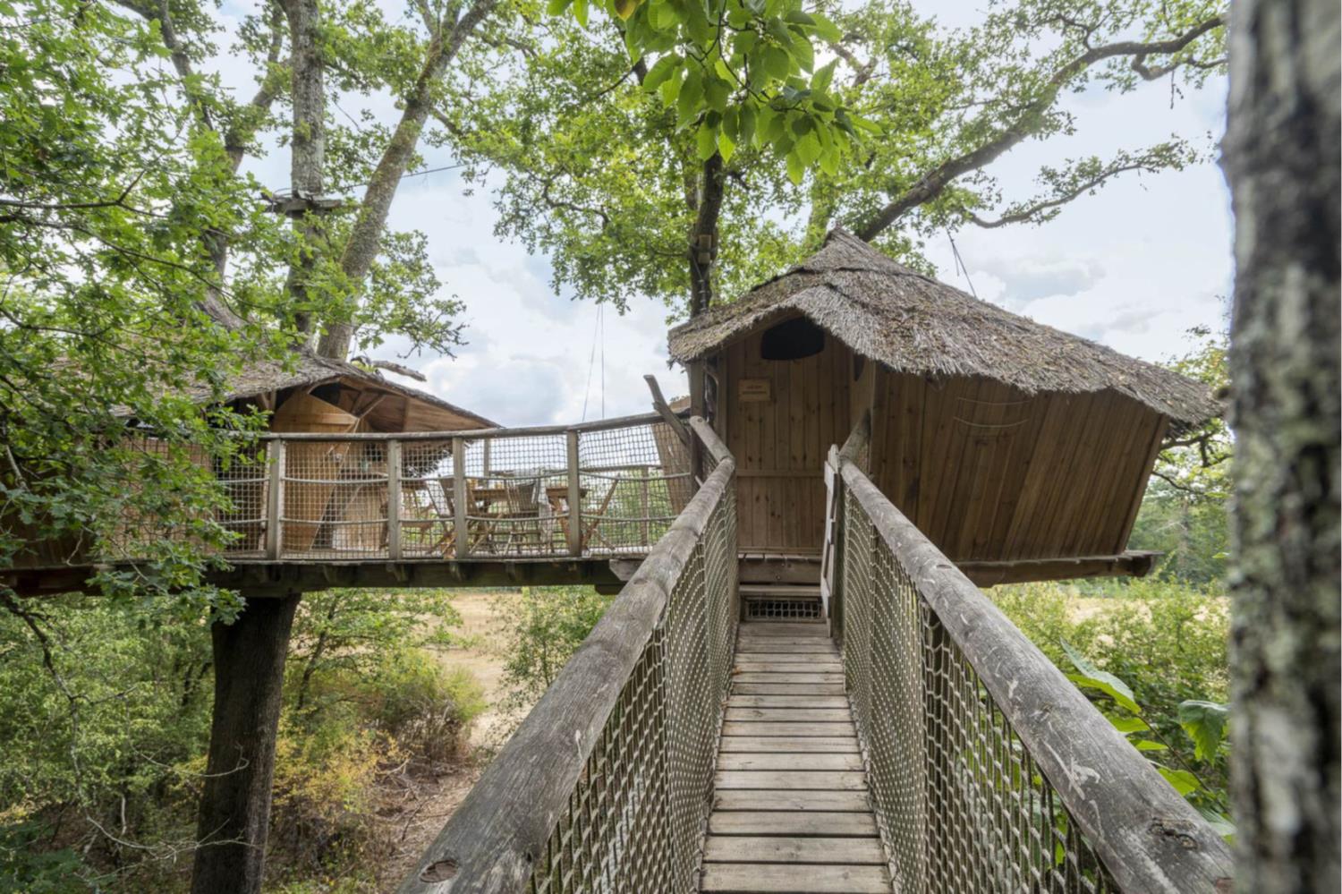 Tree-house Forest Camp 5/6p 2Bdrms.