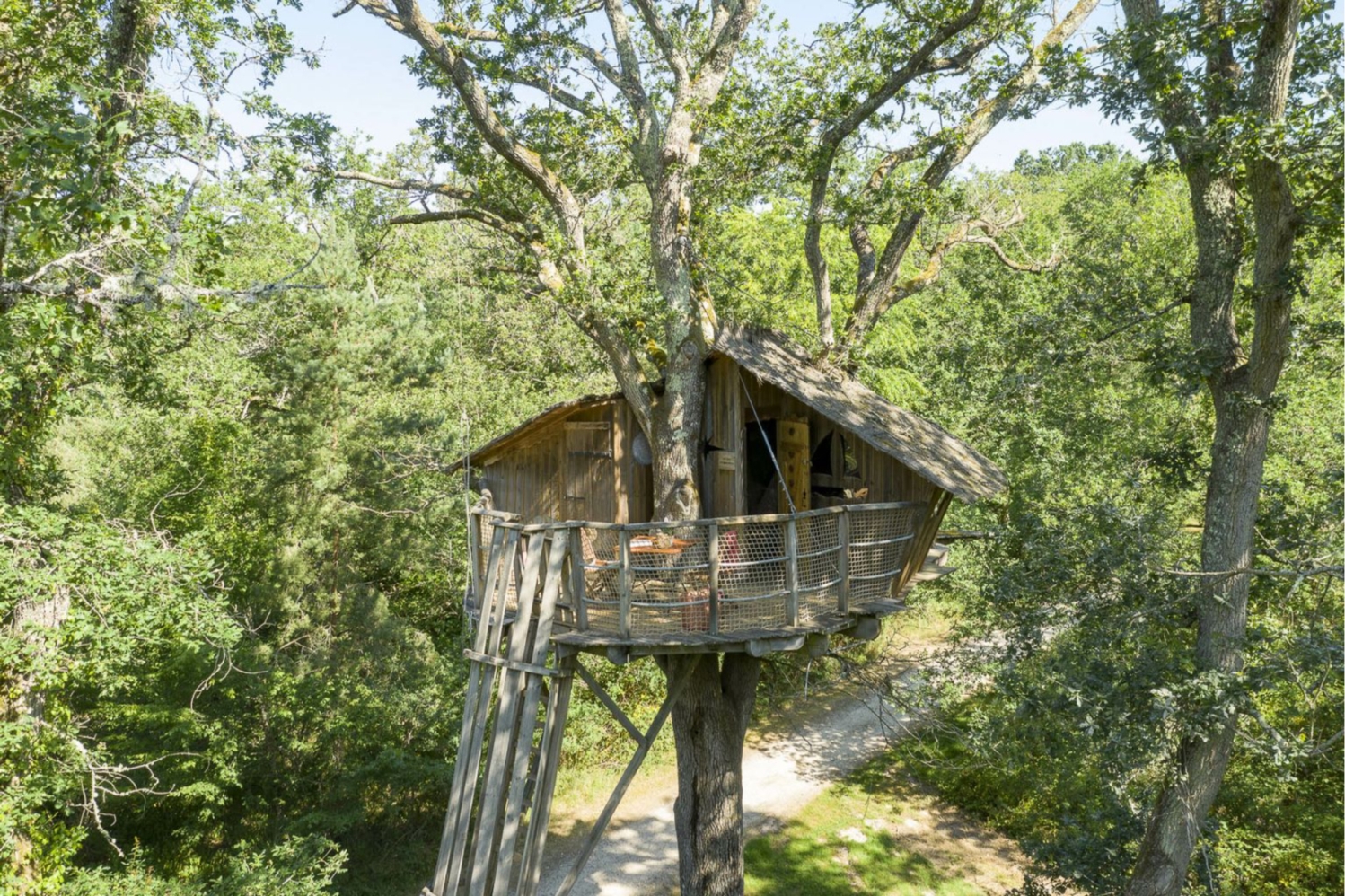 Tree-house Forest Camp 2p