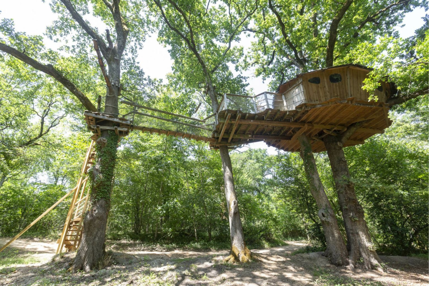 Tree-house Forest Camp 4p.