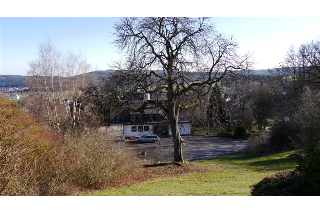 Ferienbungalow Willingen-Winterberg