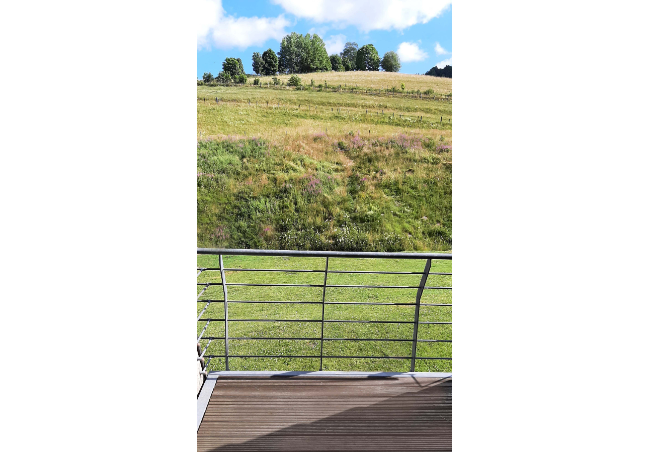Typ Dachsbau