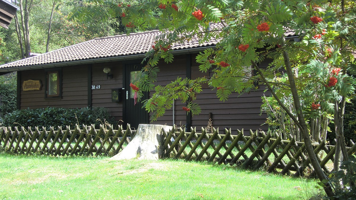 ferienhaus-kamin