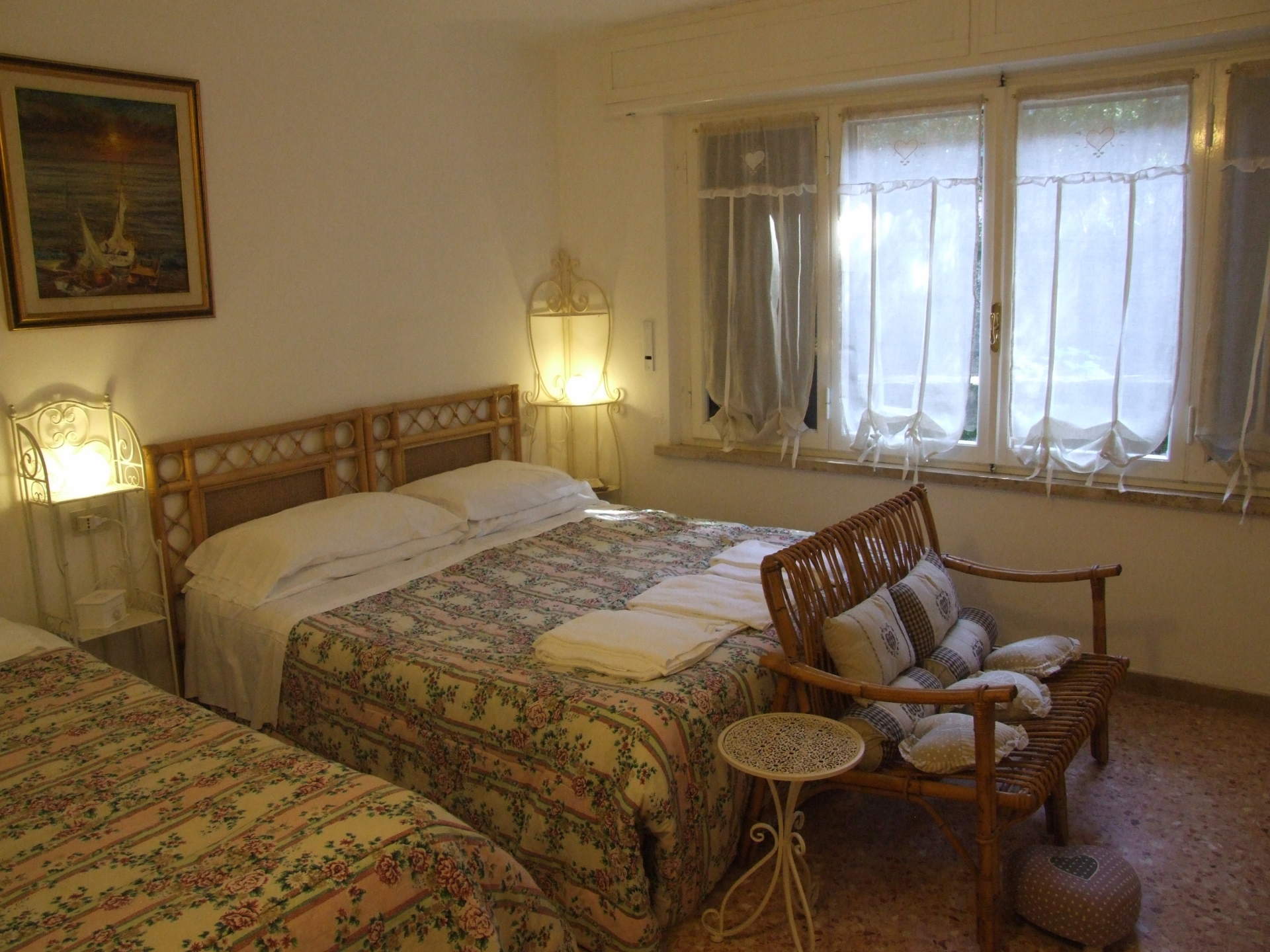 Bougainvillea 3+2 afbeelding