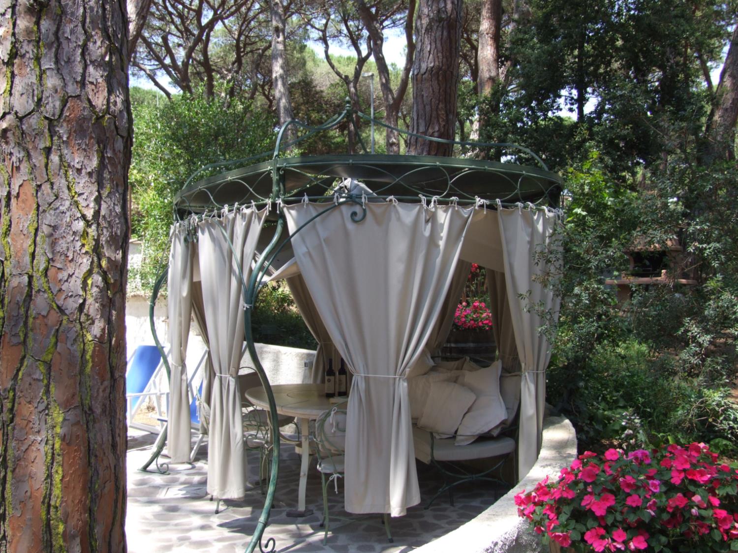 Camelia 2+2