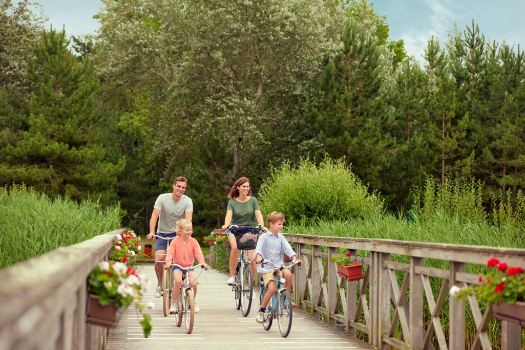 Belle Dune M4p8p Terrasse