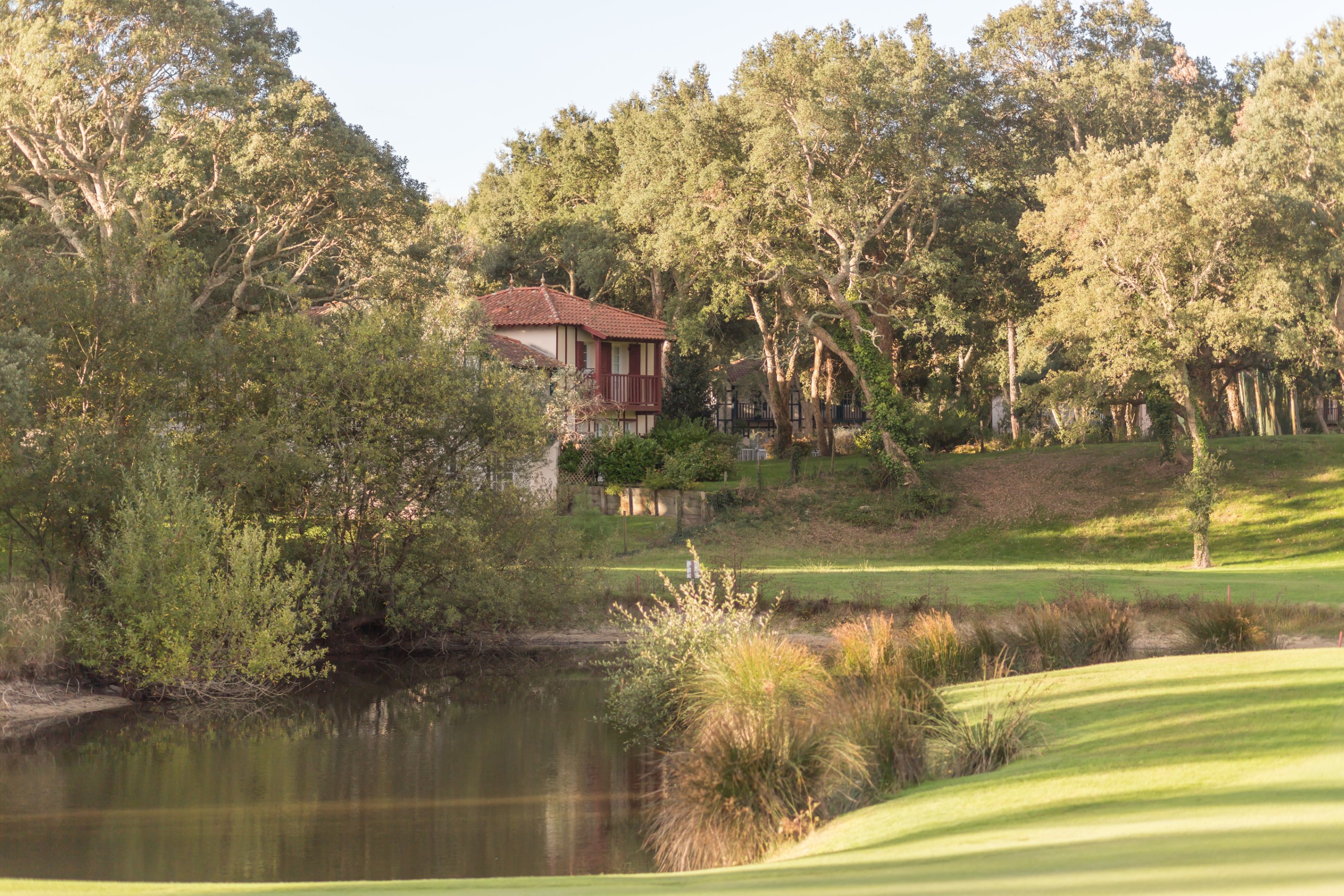 Moliets Studio Standard 5p