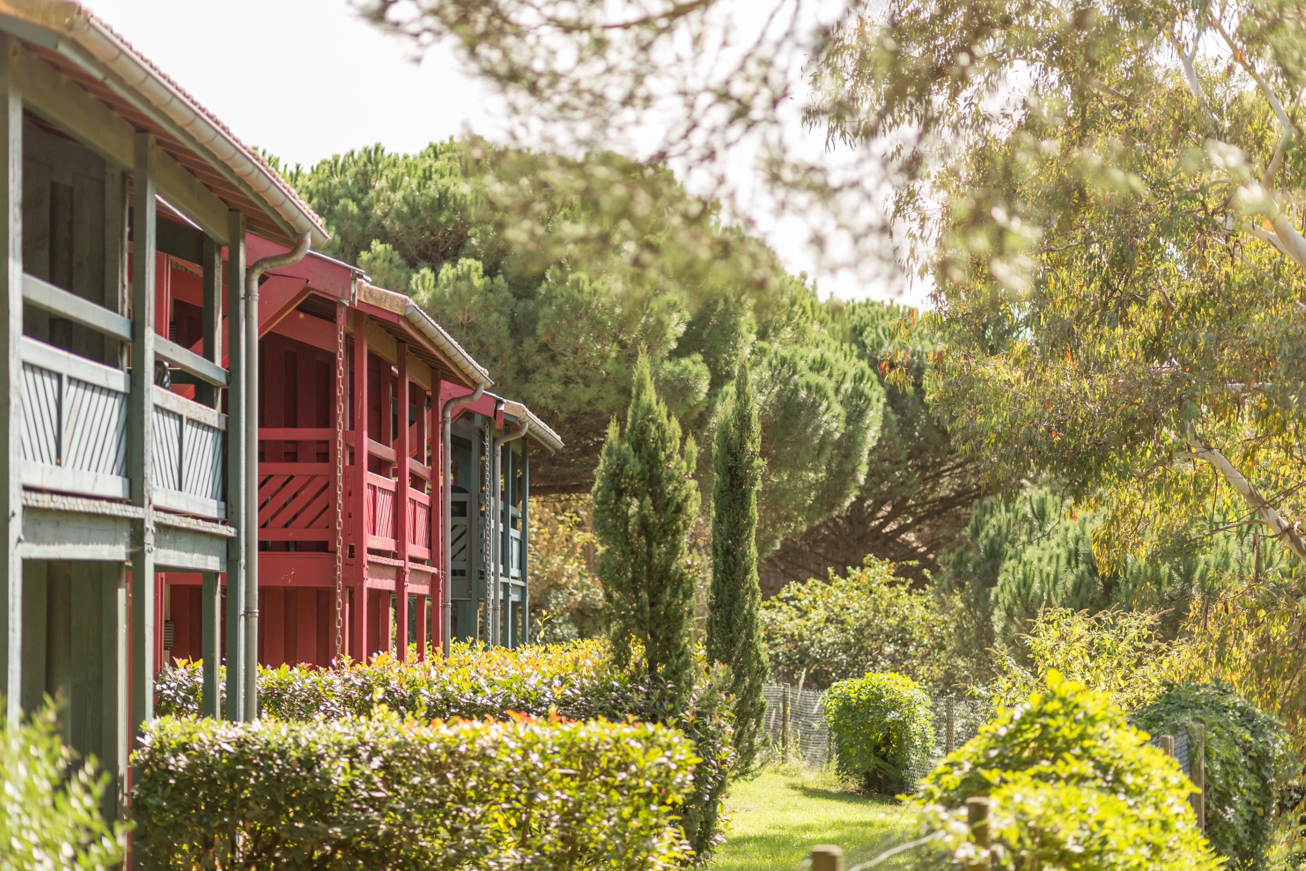 Moliets Studio Standard 5p