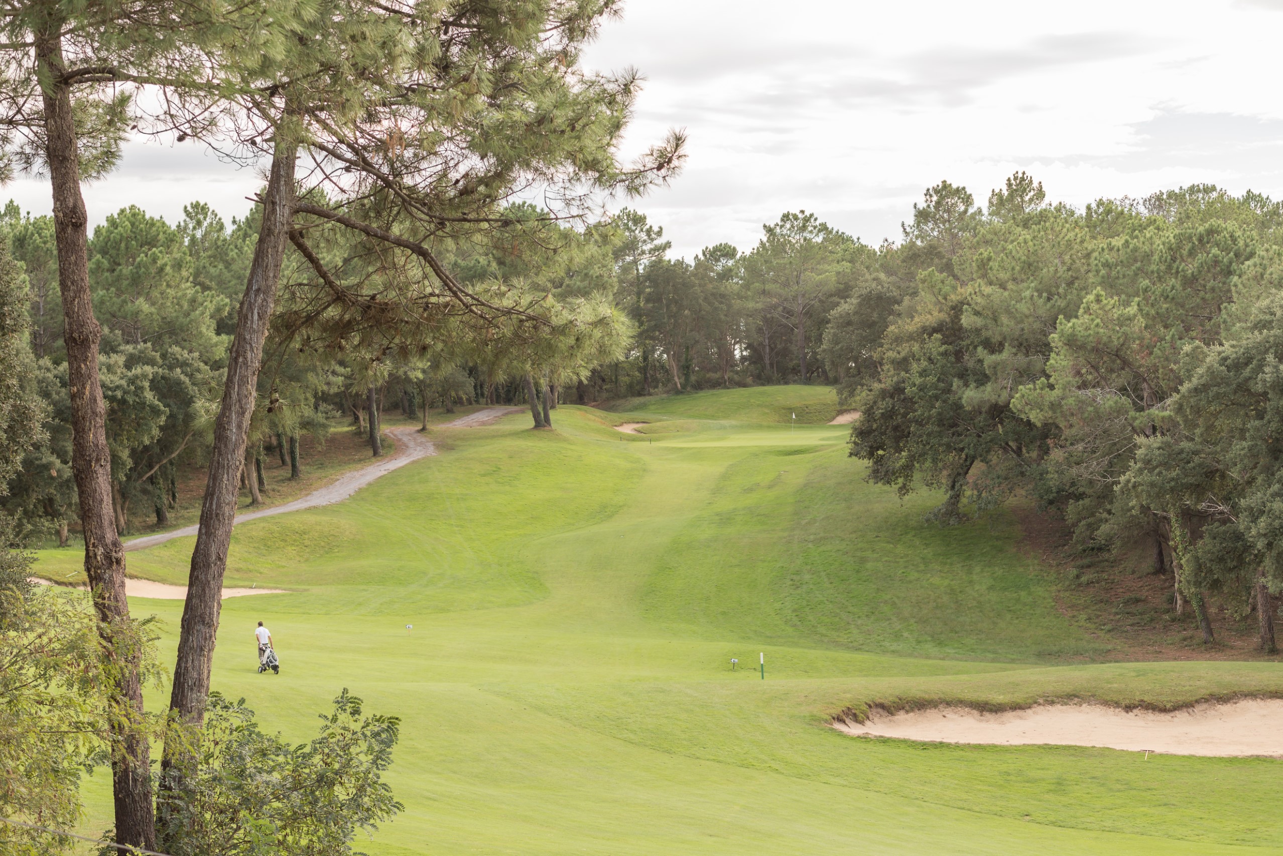 Moliets Studio Standard 5p