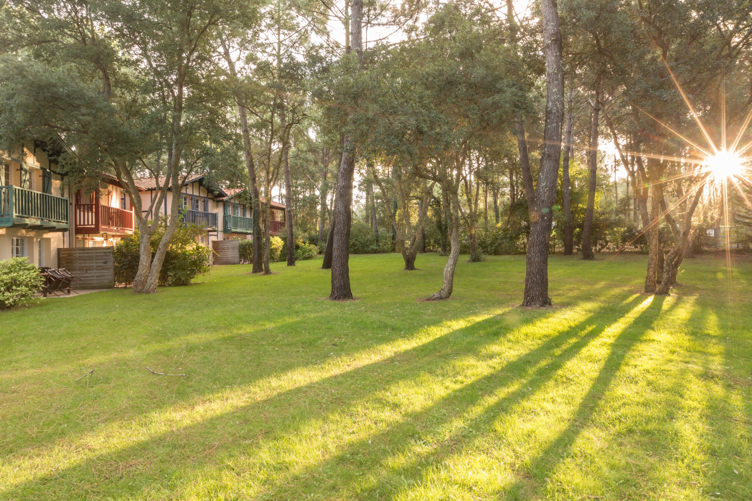 Moliets 2p5p Superior