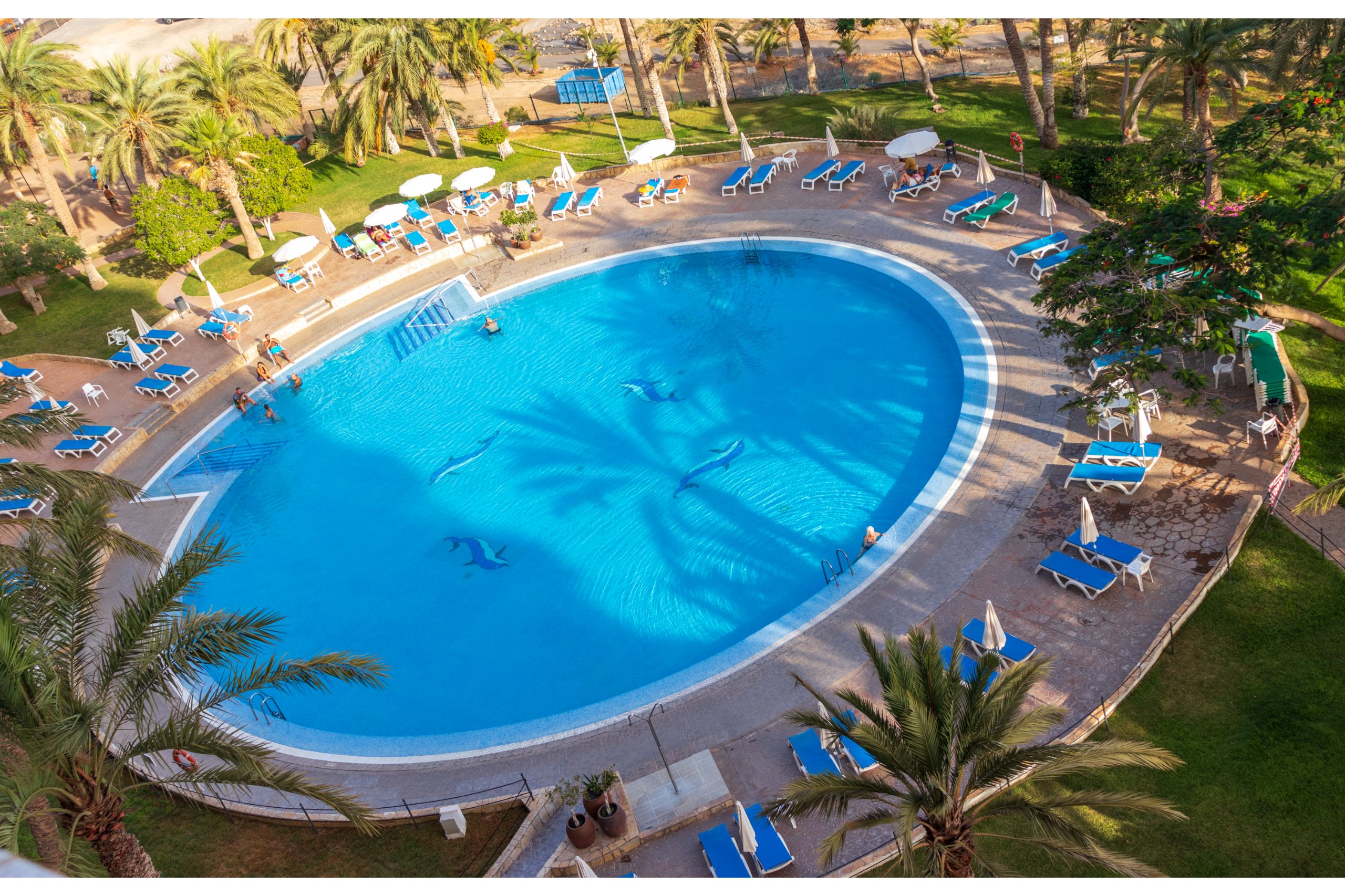 marazul-del-sur-3p6p-vue-piscine