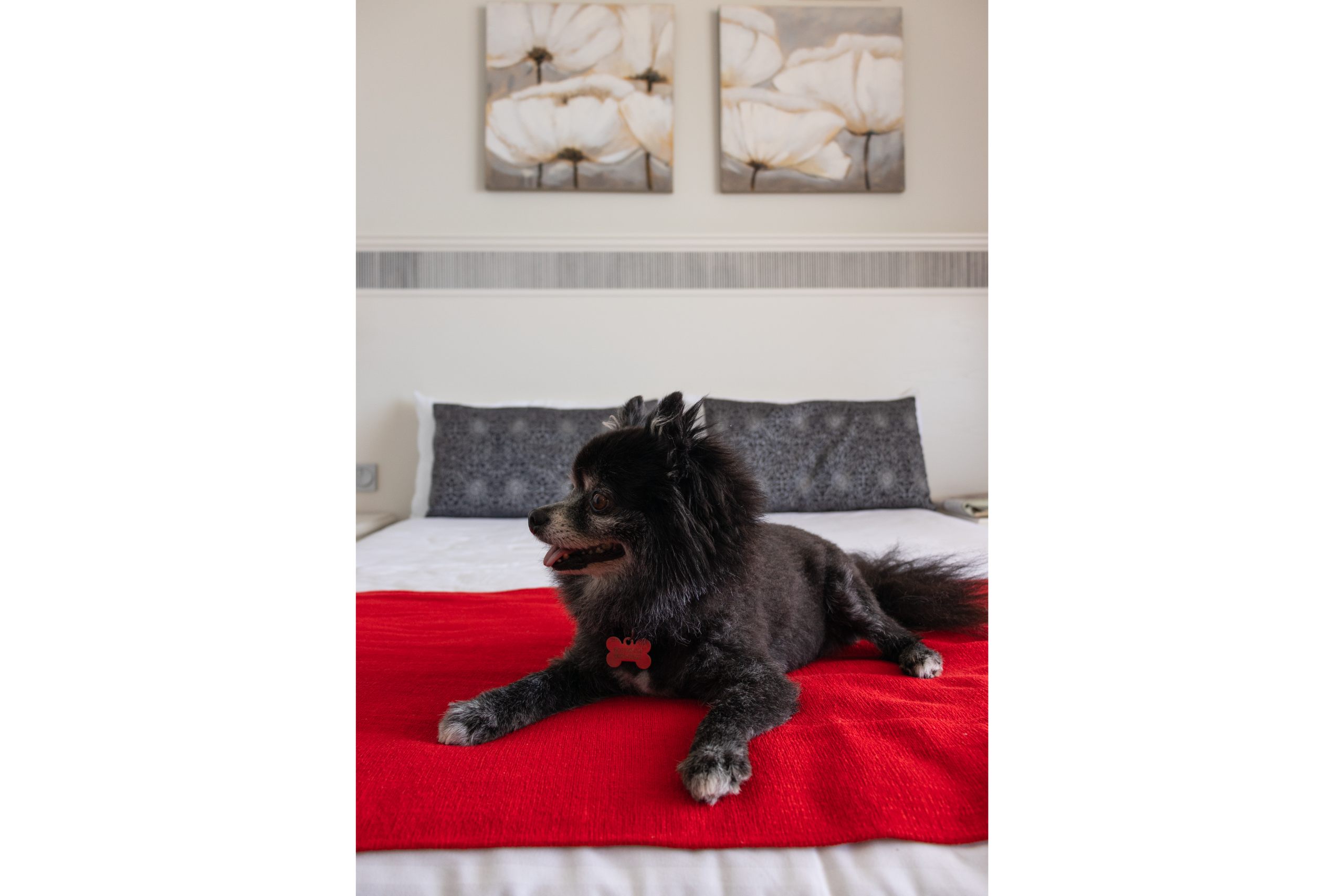 Marazul del Sur 3p6p vue piscine