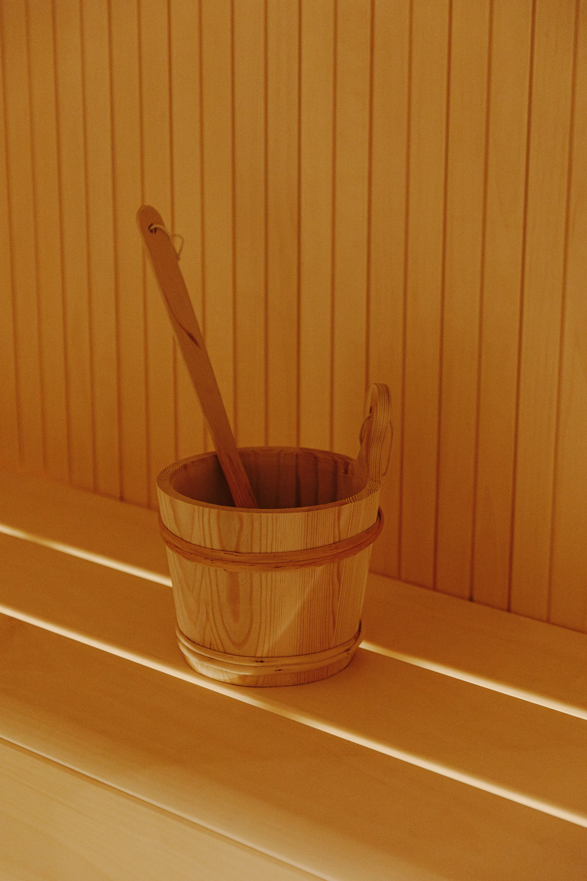 Aurone with private bio sauna