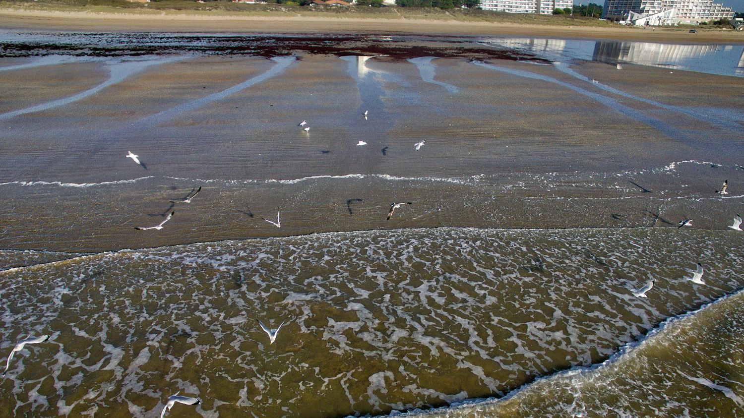 St Jean de Monts 3p 4 Vertmarines