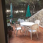 Pino Mono Top