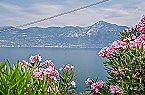 The Rock View — 5