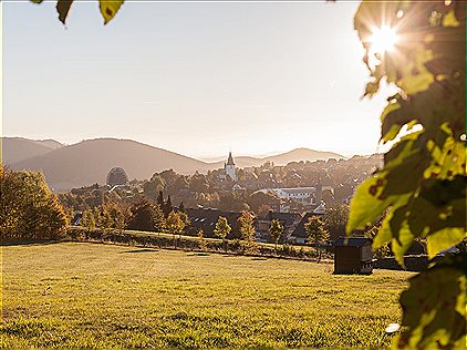 Am Südhang apartment 28 | Cozy holiday home in Winterberg with panoramic view