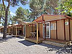 Bungalow Premium